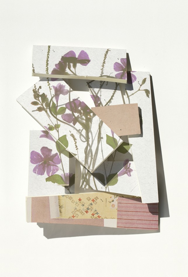 Lila Traubenwickler, Print auf Barytpapier, Goldrahmen, Glas entspiegelt, 60 x 80 cm, 2021, Auflage 5